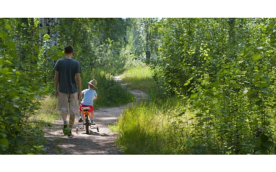 11 Things I Wish Every Parent Knew