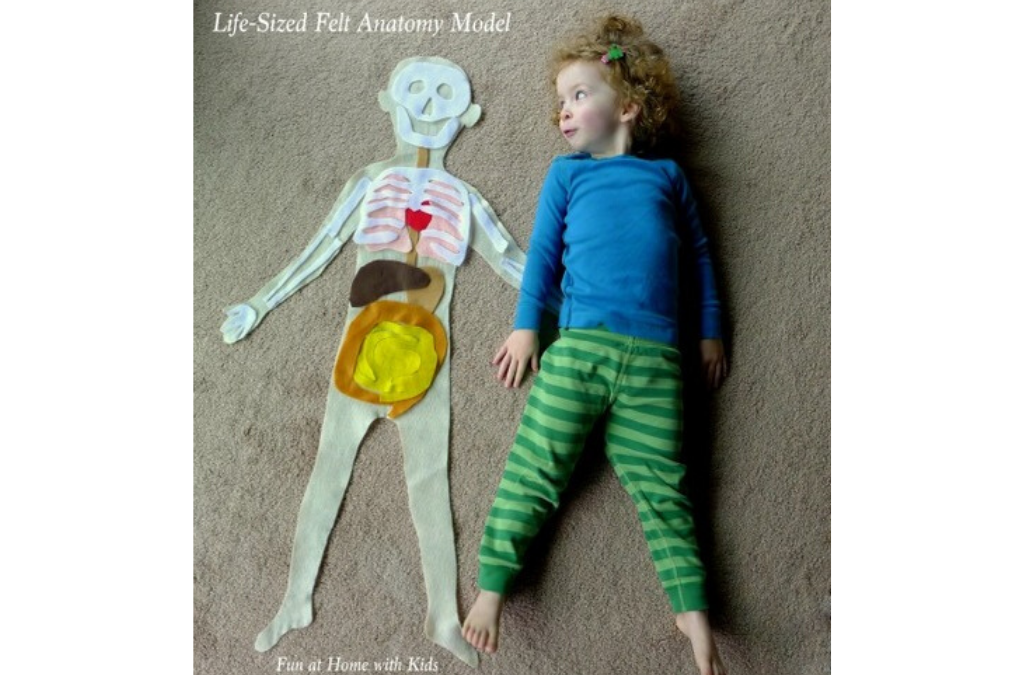 Learning About Our Bodies is Fun With Felt