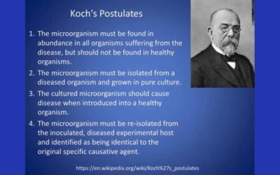 Koch’s Postulates – The Germ Theory Never Satisfies