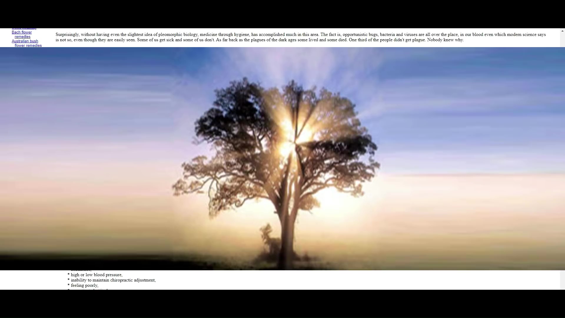 About Abundance PLUS Terrain Theory Simplified - GERMS DO NOT CAUSE DISEASE