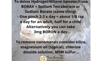 Health Effects of Boron