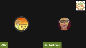 Sol Luckman Interviewed by ADV