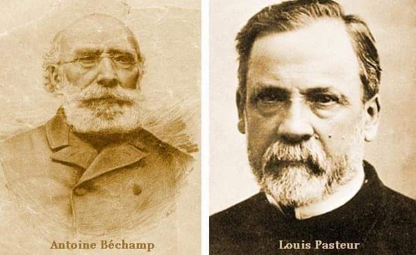 Yummy Doctor - Antoine Béchamp & Louis Pasteur