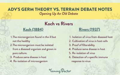 Germ Theory vs Terrain Debate Notes