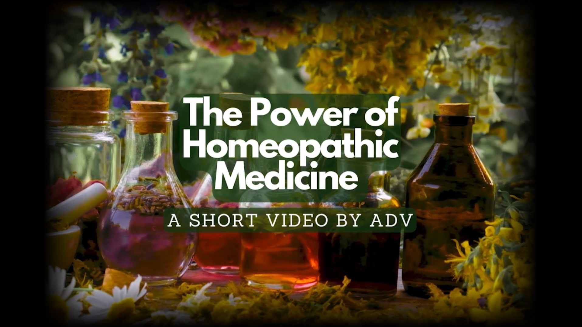 The-Power-of-Homeopathic-Medicine-with-Amandha-Vollmer