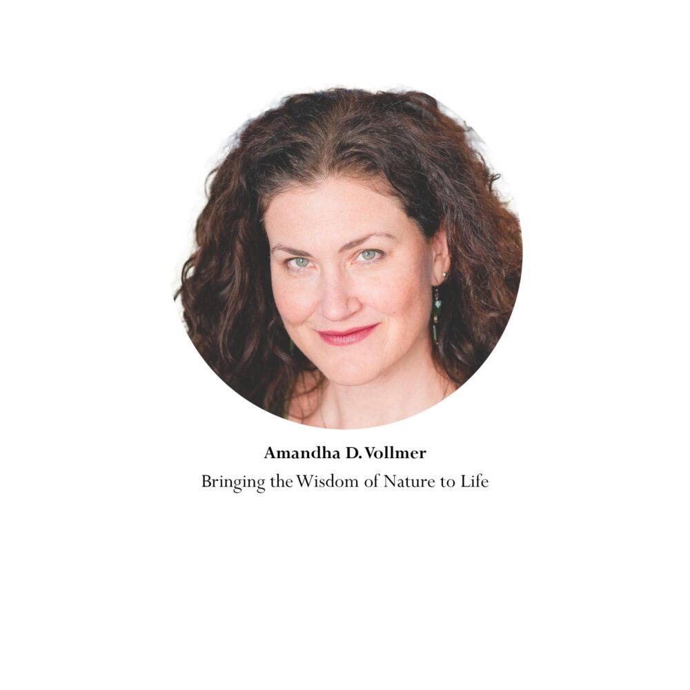 Yummy.Doctor Memberships Amandha Vollmer ADV