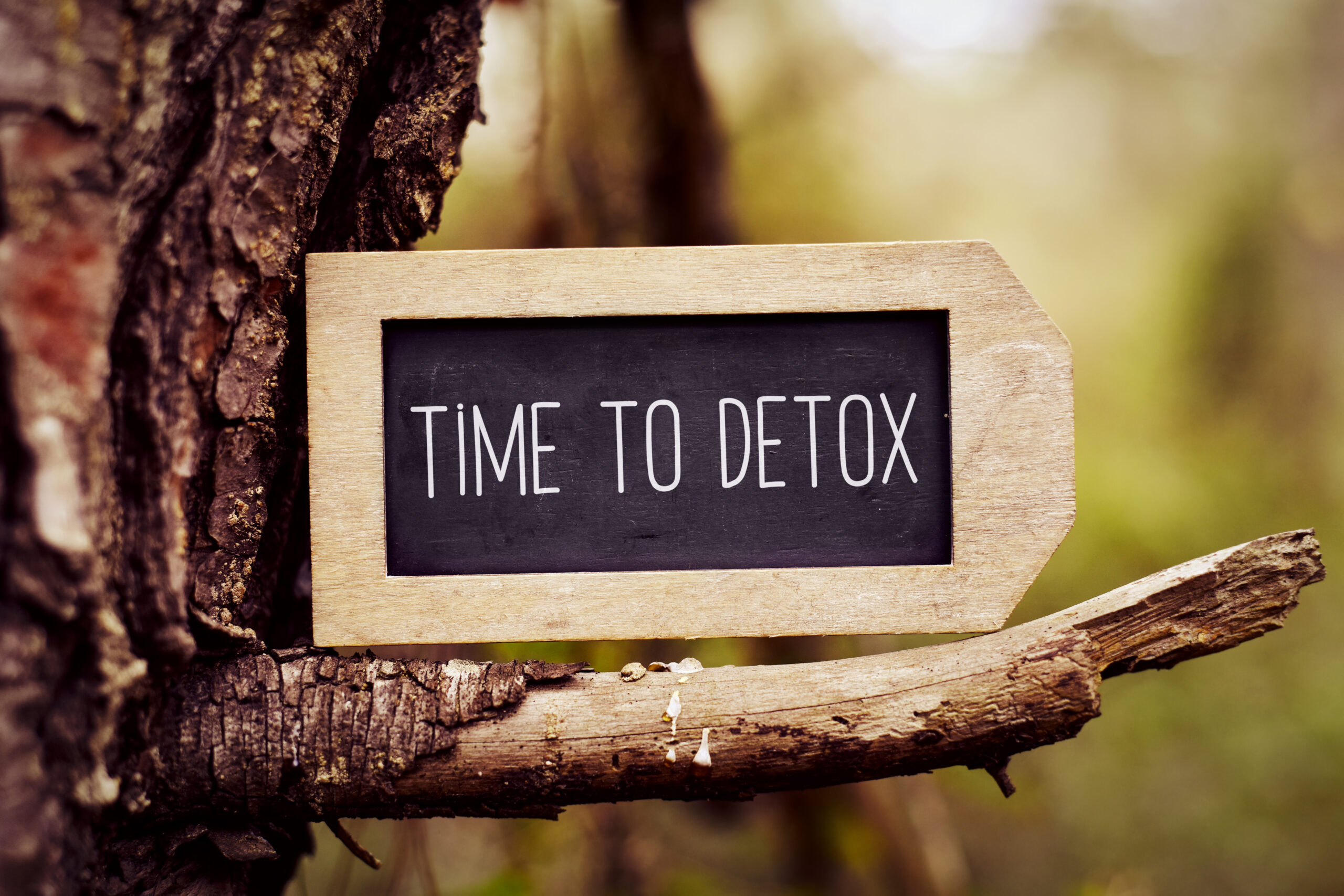 PROTOCOL: Heavy Metal and Parasite Cleanse