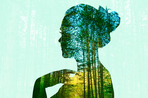 Yummy Doctor Holistic Health Education - Protocol - Cancer Healing