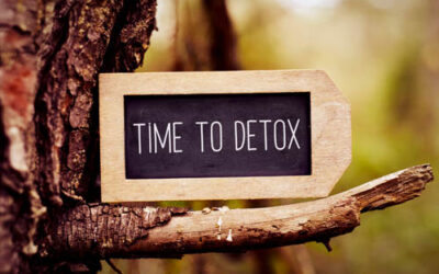 Heavy Metal and Parasite Cleanse Protocol