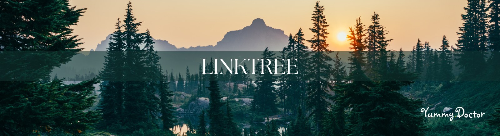 Yummy.Doctor Linktree Banner Yummy.Doctor Linktree Banner