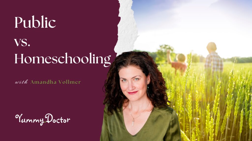 Public-vs-Homeschooling-by-Amandha-Vollmer-ADV