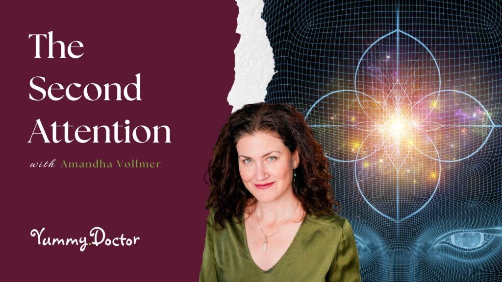 The-Second-Attention-by-Amandha-Vollmer-ADV