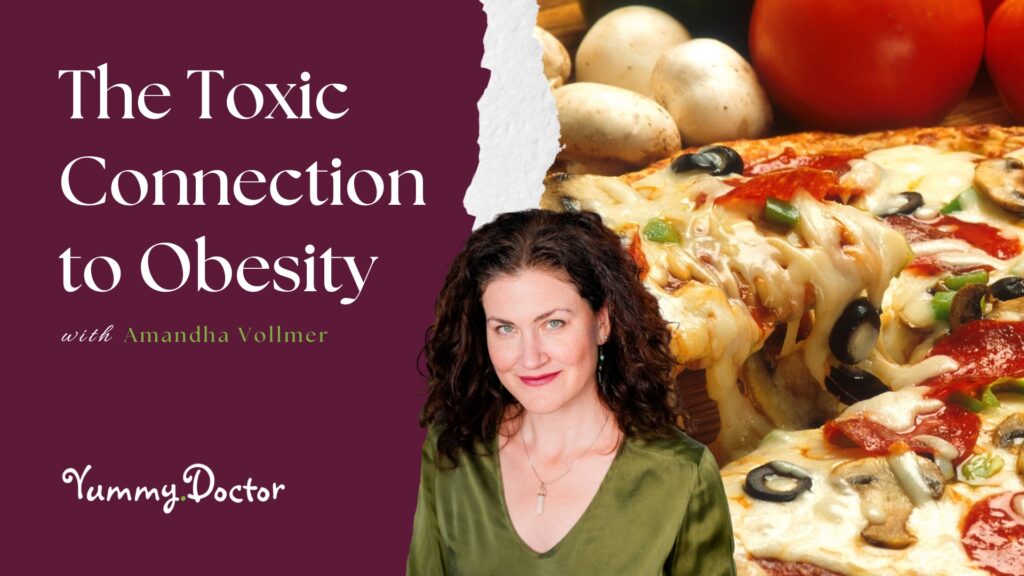 The-Toxic-Connection-to-Obesity-by-Amandha-Vollmer-ADV