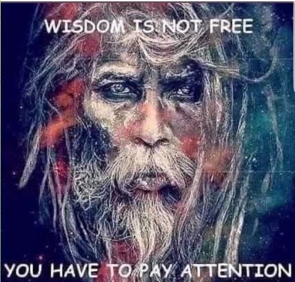Become Solutionary Not Reactionary