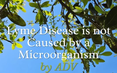 Lyme Disease is not Caused by a Microorganism
