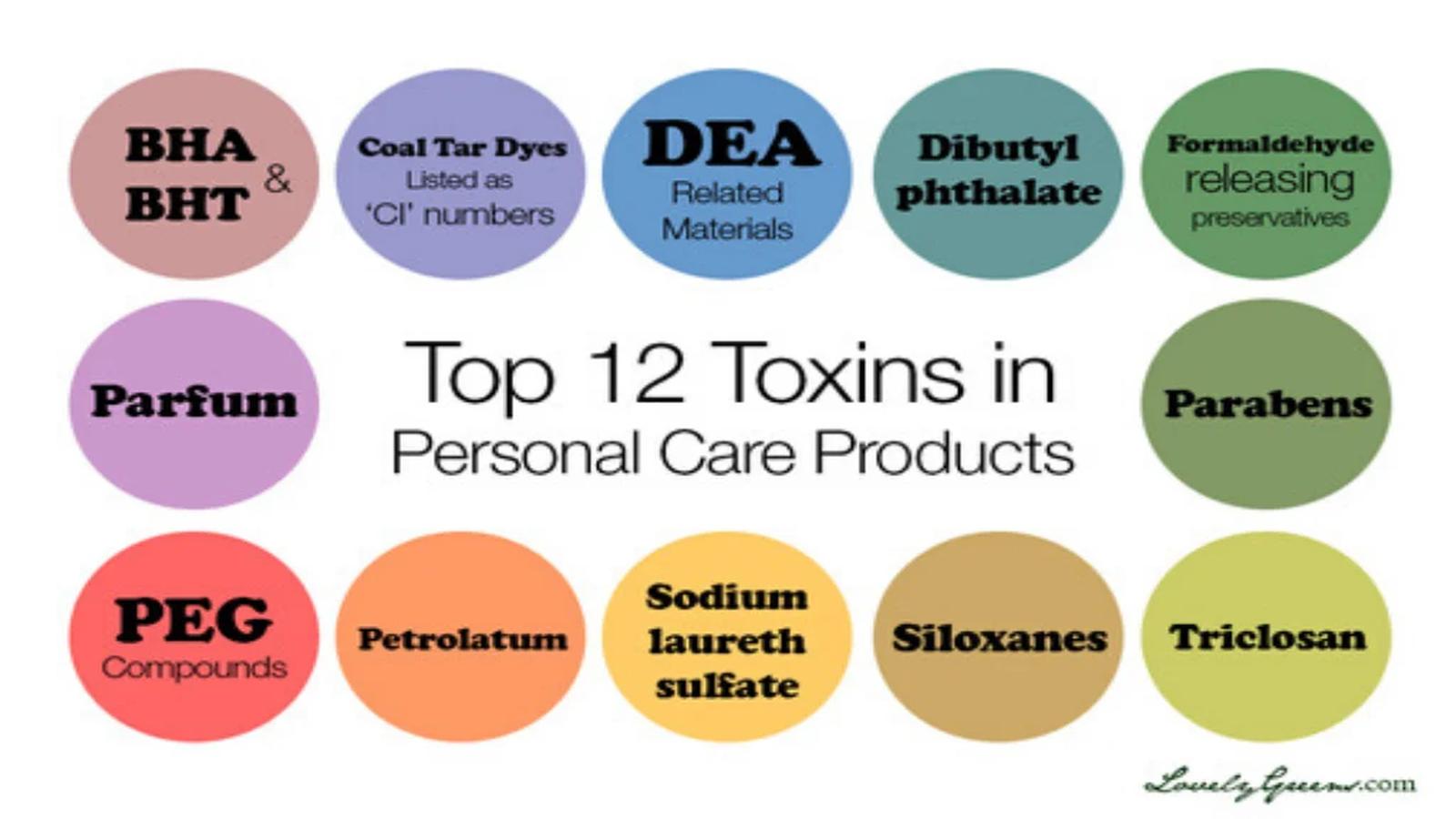 Yummy Doctor Holistic Health Education - Blog - Dateline TV Producer Tested for Chemicals – BPA Yummy Doctor Holistic Health Education - Blog - Dateline TV Producer Tested for Chemicals – BPA
