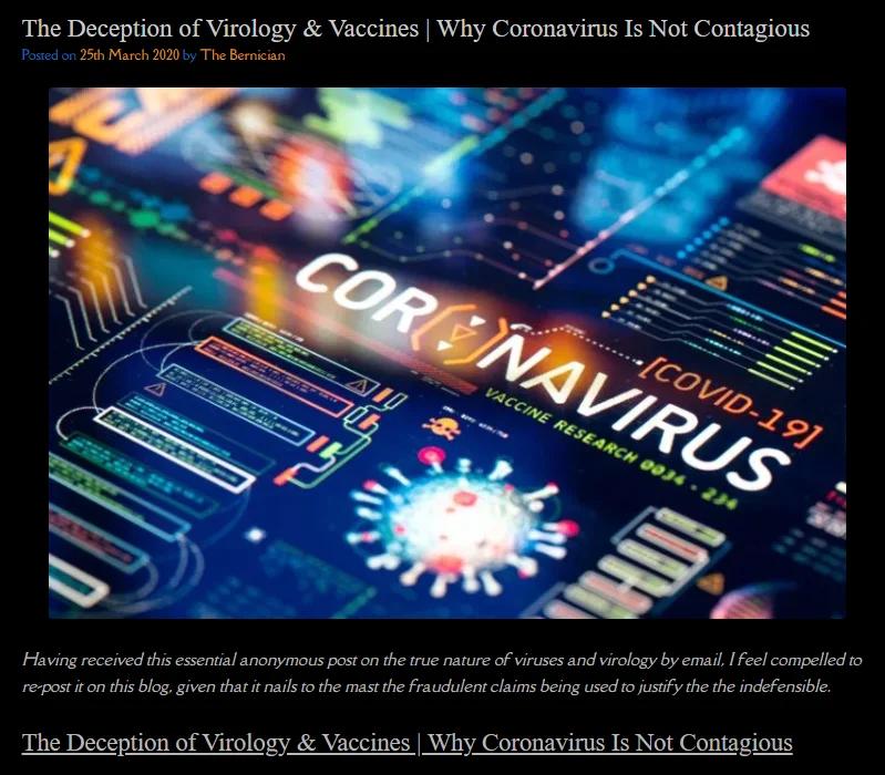 Yummy-Doctor-Holistic-Health-Education-Blog-The-Virus-Deception