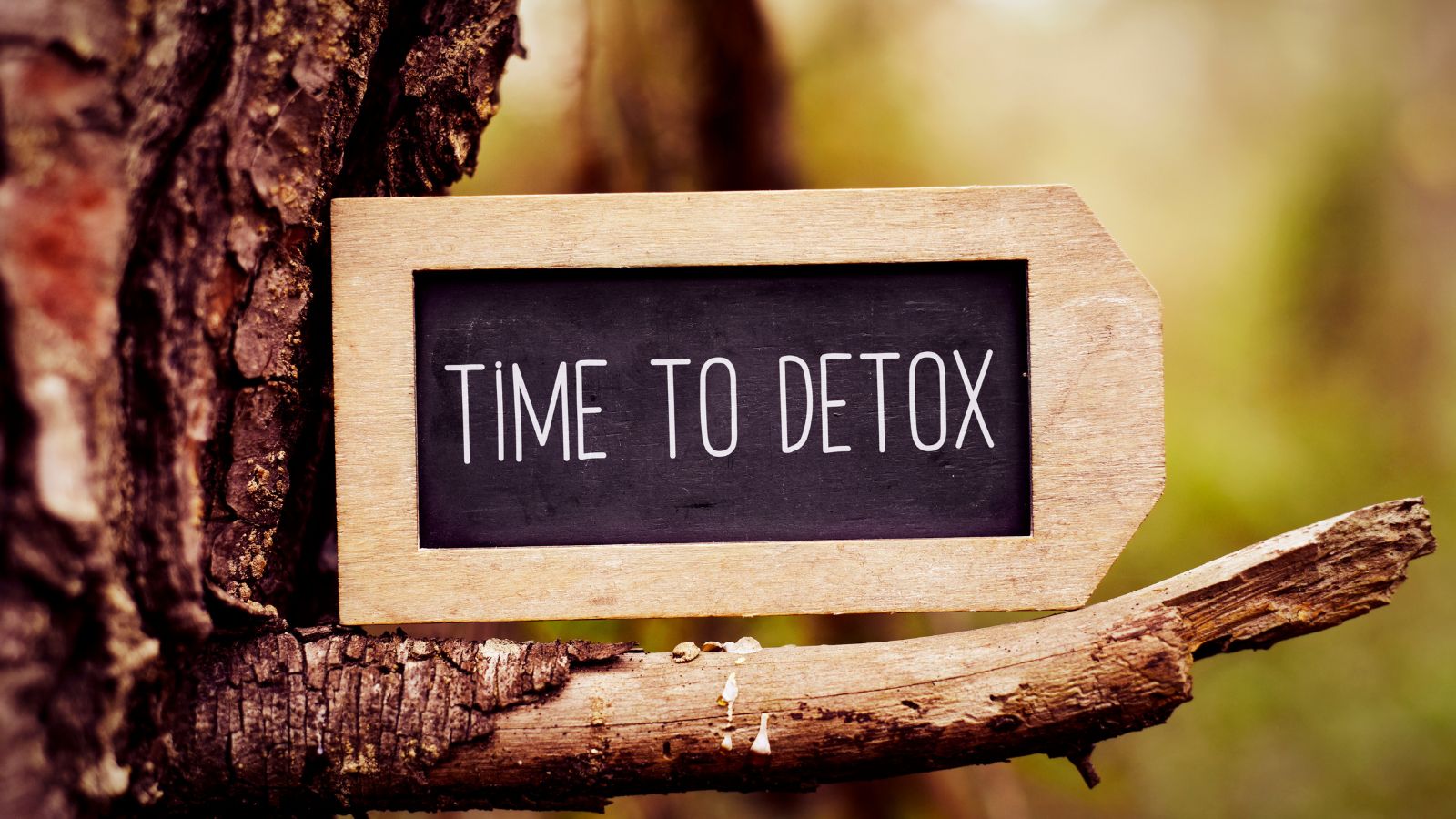 Yummy Doctor Holistic Health Education - Heavy Metal and Parasite Cleanse Protocol - Wide