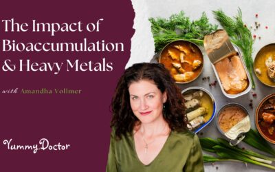 The Impact of Bio accumulation & Heavy Metals