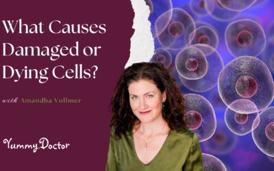 What Causes Damaged or Dying Cells?