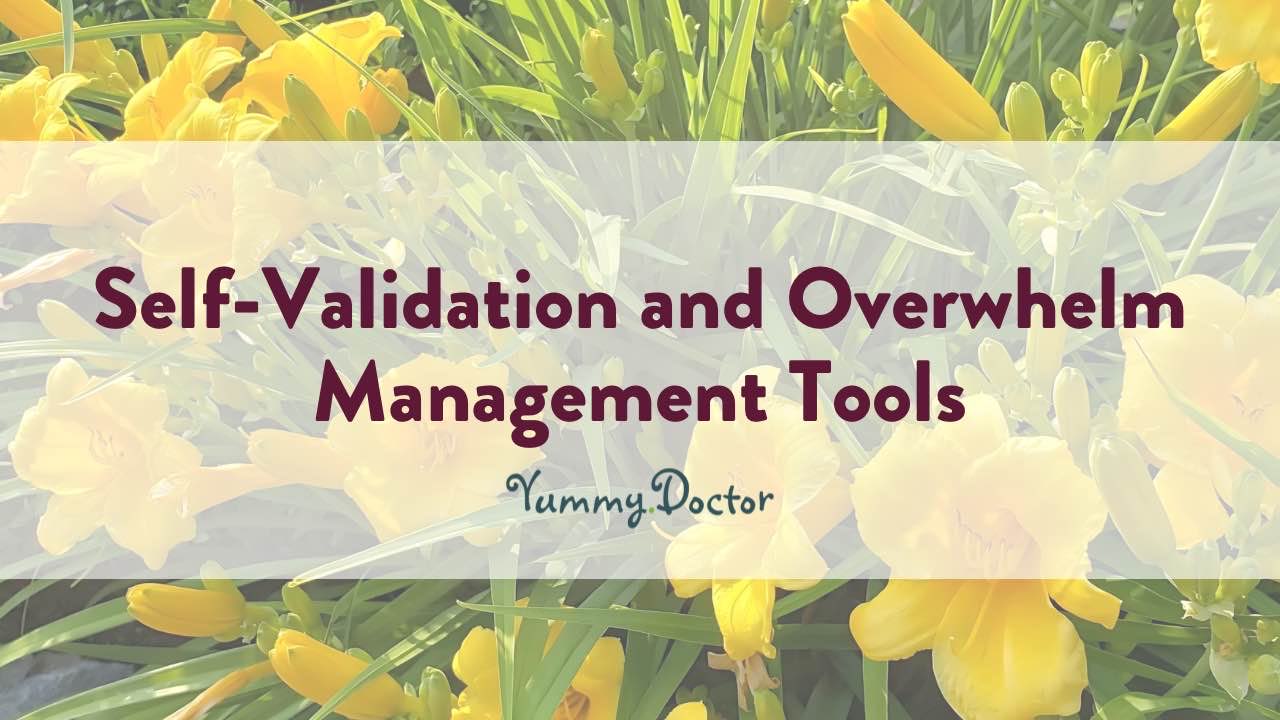 Yummy Doctor Holistic Health Education - Blog - Self-Validation and Overwhelm Management Tools 2.webp Yummy Doctor Holistic Health Education - Blog - Self-Validation and Overwhelm Management Tools 2.webp