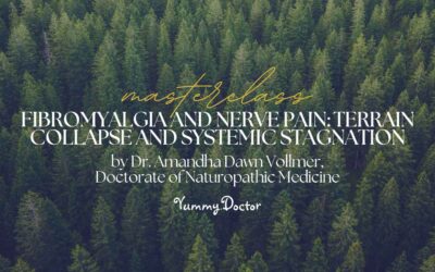 Fibromyalgia and Nerve Pain: Terrain Collapse and Systemic Stagnation