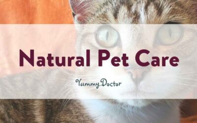 Natural Pet Care