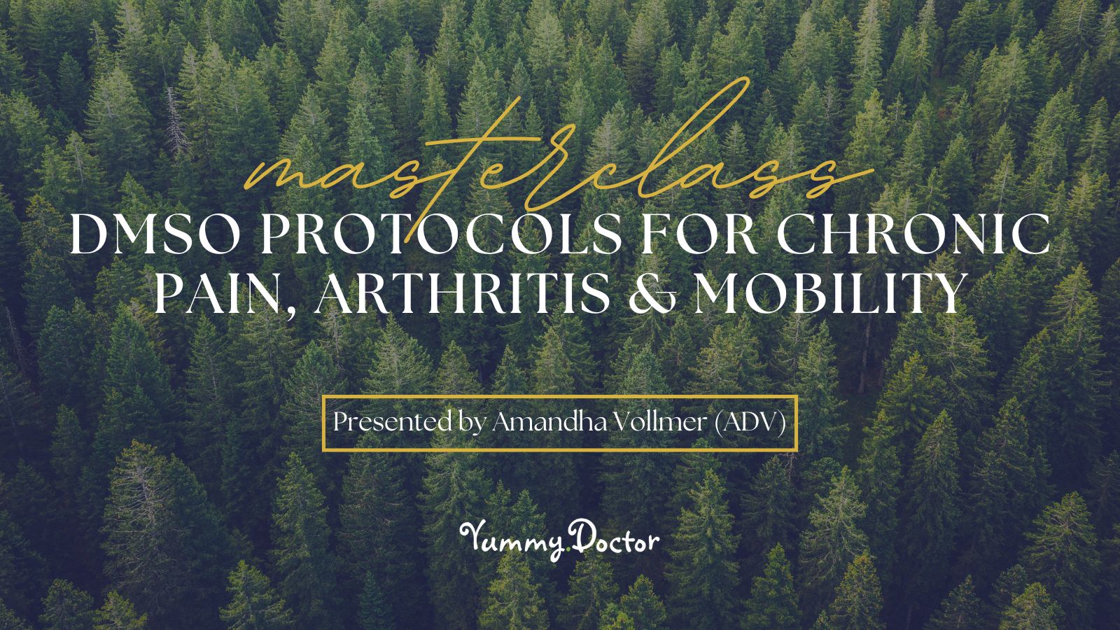 Yummy Doctor Holistic Health Education - Holistic Self Assessment Course - Wide