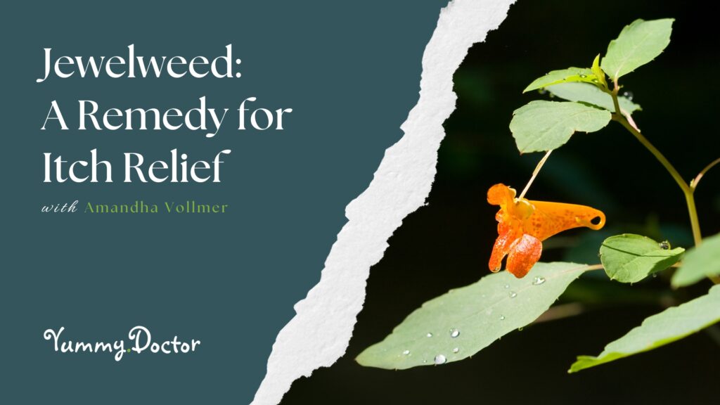 Jewelweed A Remedy for Itch Relief