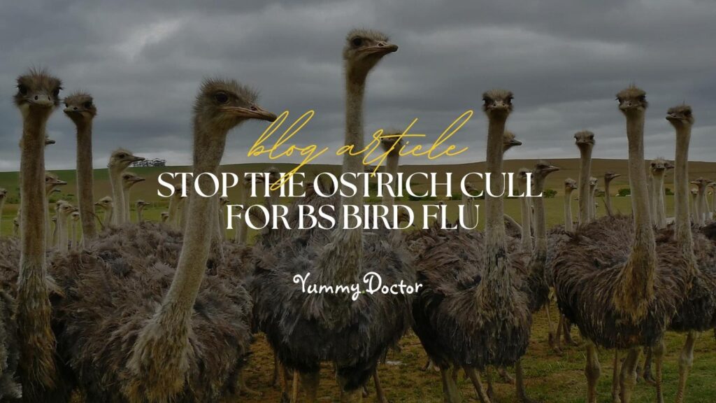 Yummy Doctor Holistic Health Education - Blog - Stop The Ostrich Cull For BS Bird Flu