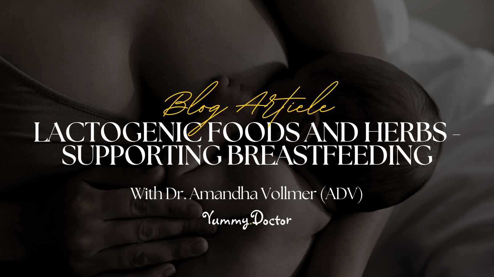 Yummy Doctor Holistic Health Education - Blog -Lactogenic Foods and Herbs - Supporting Breastfeeding Yummy Doctor Holistic Health Education - Blog -Lactogenic Foods and Herbs - Supporting Breastfeeding.jpg