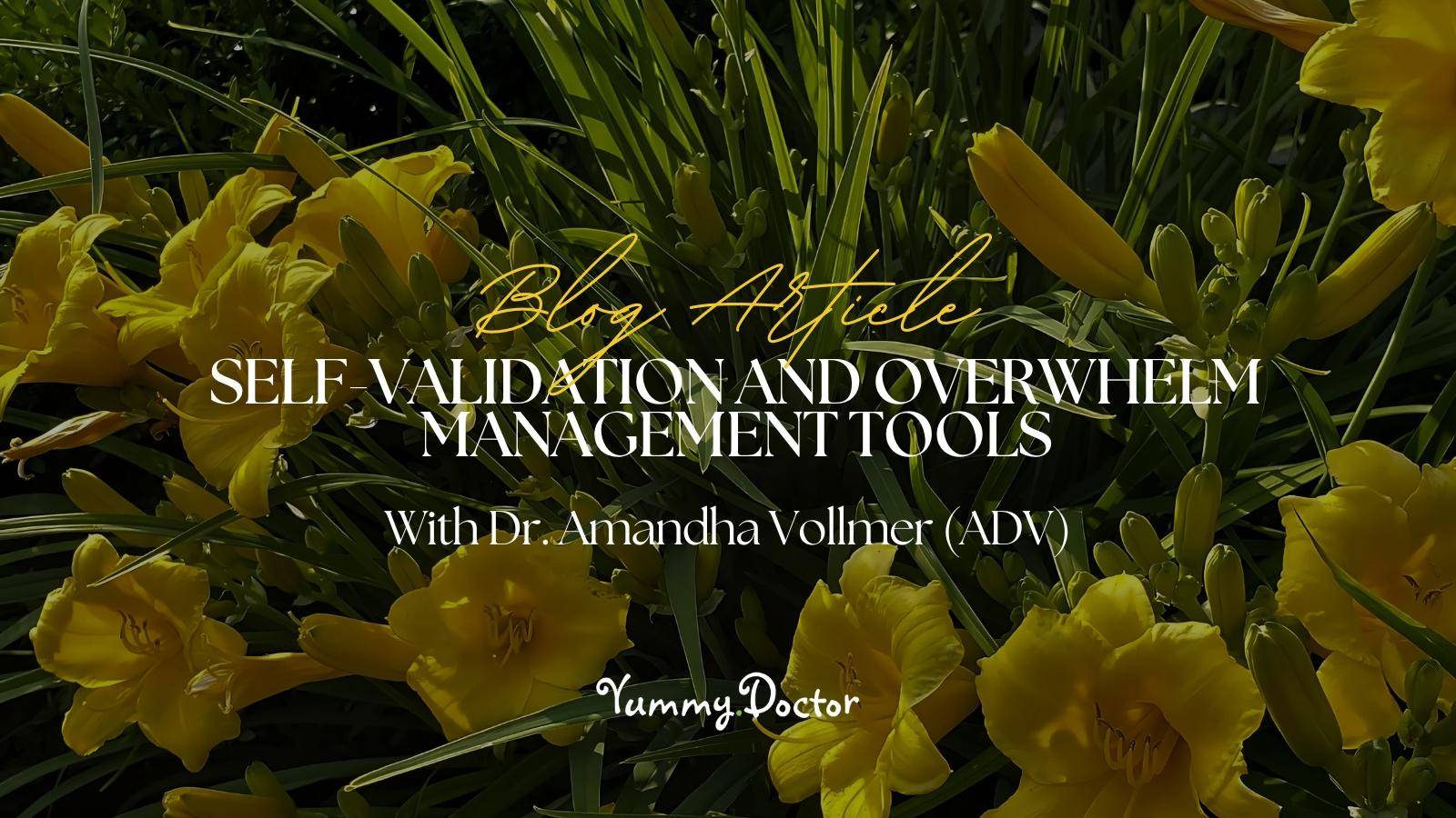 Yummy Doctor Holistic Health Education - Blog - Self Validation And Overwhelm Management Tools Yummy Doctor Holistic Health Education - Blog - Self Validation And Overwhelm Management Tools