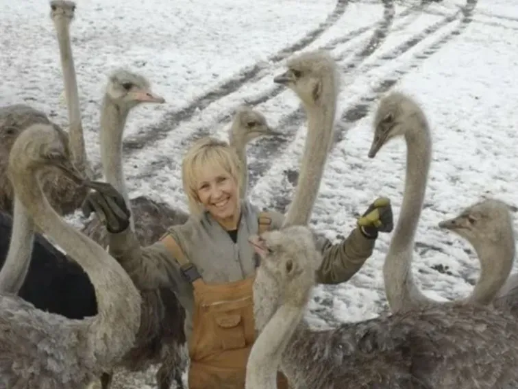 Yummy Doctor Holistic Health Education - Blog - Stop the Ostrich Cull for BS Bird Flu Yummy Doctor Holistic Health Education - Blog - Stop the Ostrich Cull for BS Bird Flu