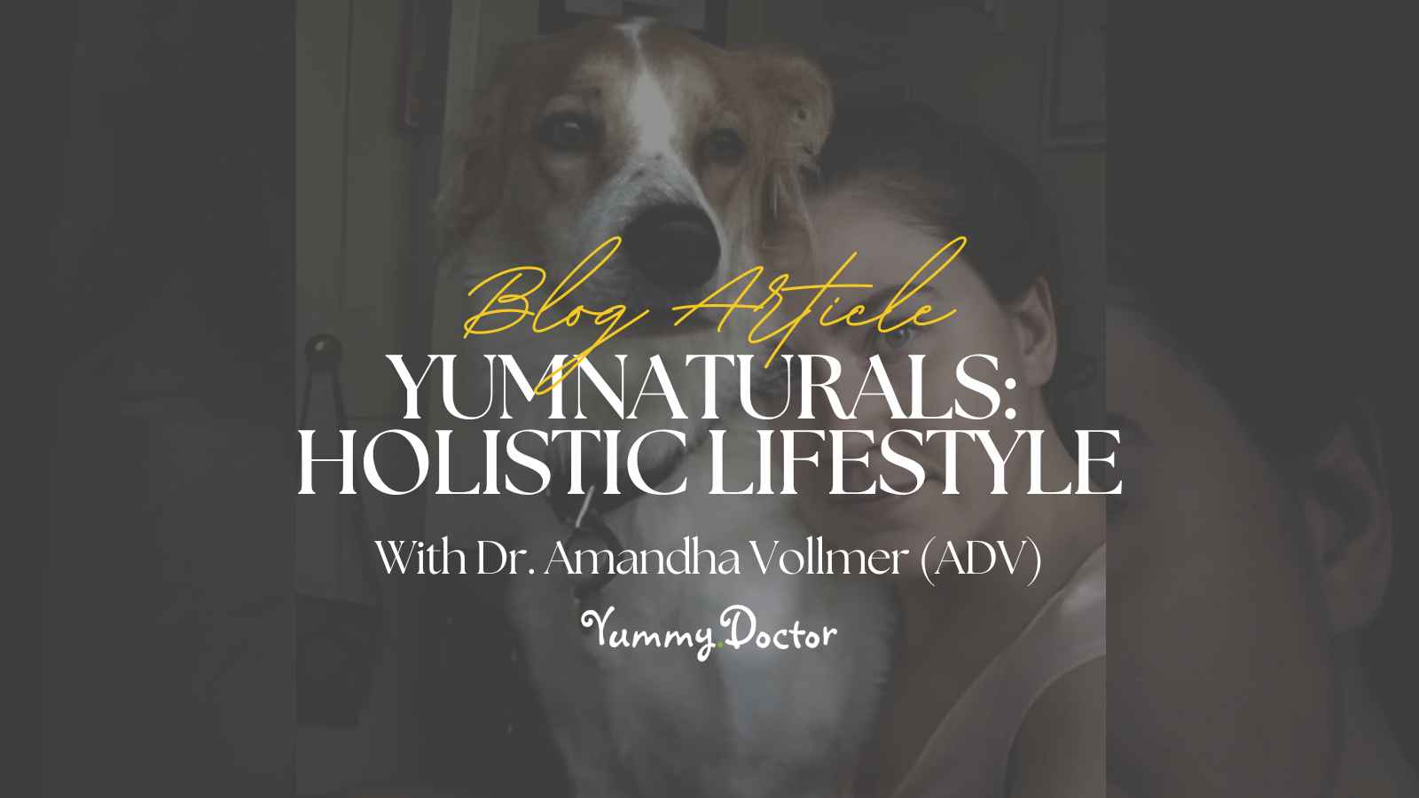 Yummy Doctor Holistic Health Education - Blog -YumNaturals_ Holistic Lifestyle Yummy Doctor Holistic Health Education - Blog -YumNaturals_ Holistic Lifestyle.jpg