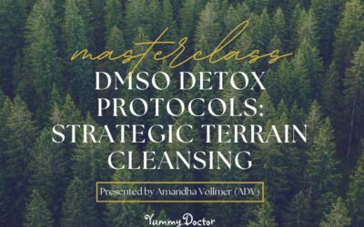 MASTERCLASS: DMSO Detox Protocols – Strategic Terrain Cleansing