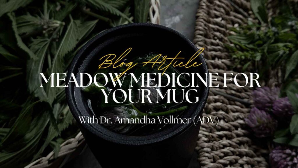 Masterclass - DMSO Detox Protocols – Meadow Medicine for Your Mug