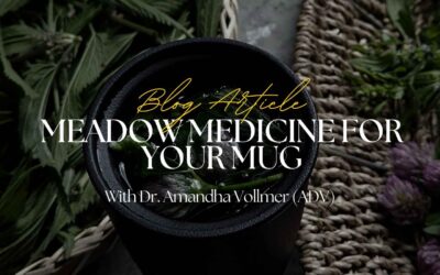 Meadow Medicine for Your Mug
