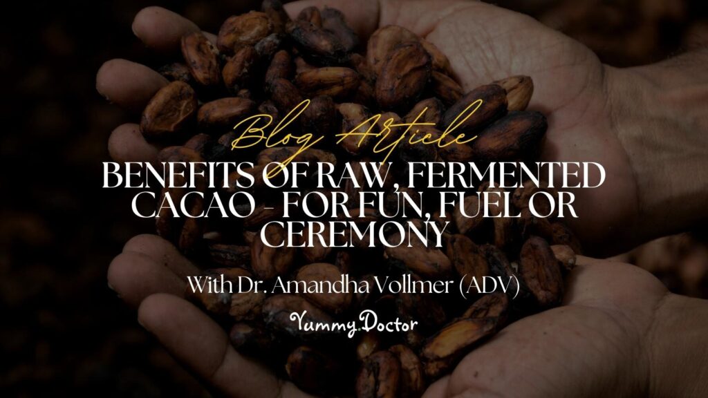 Yummy Doctor Holistic Health Education - Blog -Benefits of Raw, Fermented Cacao - For Fun, Fuel or Ceremony