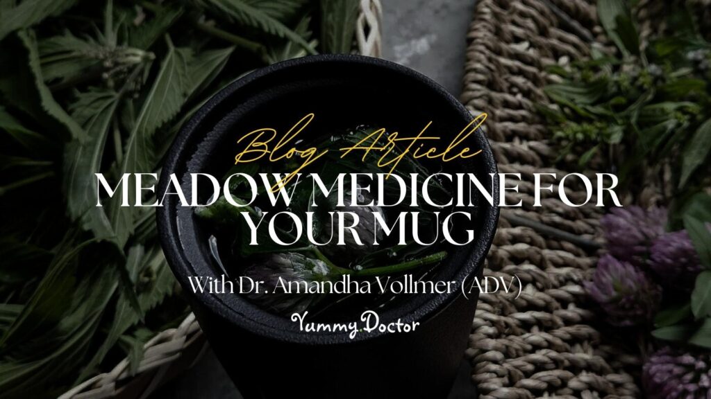 Yummy Doctor Holistic Health Education - Blog -Meadow Medicine for Your Mug