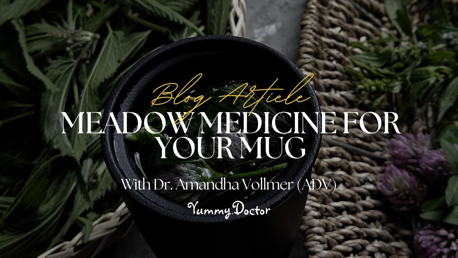 Yummy Doctor Holistic Health Education - Blog -Meadow Medicine for Your Mug Yummy Doctor Holistic Health Education - Blog -Meadow Medicine for Your Mug