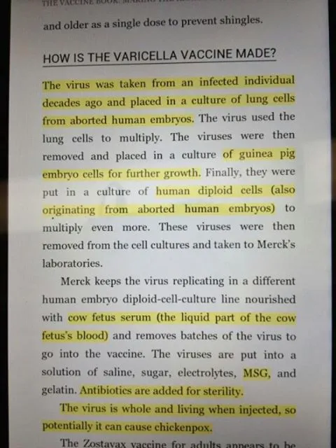 Yummy Doctor Holistic Health Education - Blog - What is Chicken Pox The Arsenic Connection 4