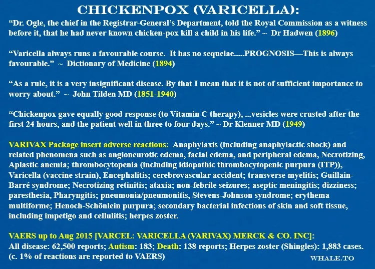 Yummy Doctor Holistic Health Education - Blog - What is Chicken Pox The Arsenic Connection 8