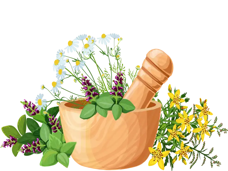 Yummy.Doctor-Website-YumNaturals-Yummy-Mummy-Flowers-in-Mortar-and-Pestle Yummy.Doctor Website - YumNaturals Yummy Mummy - Flowers in Mortar and Pestle