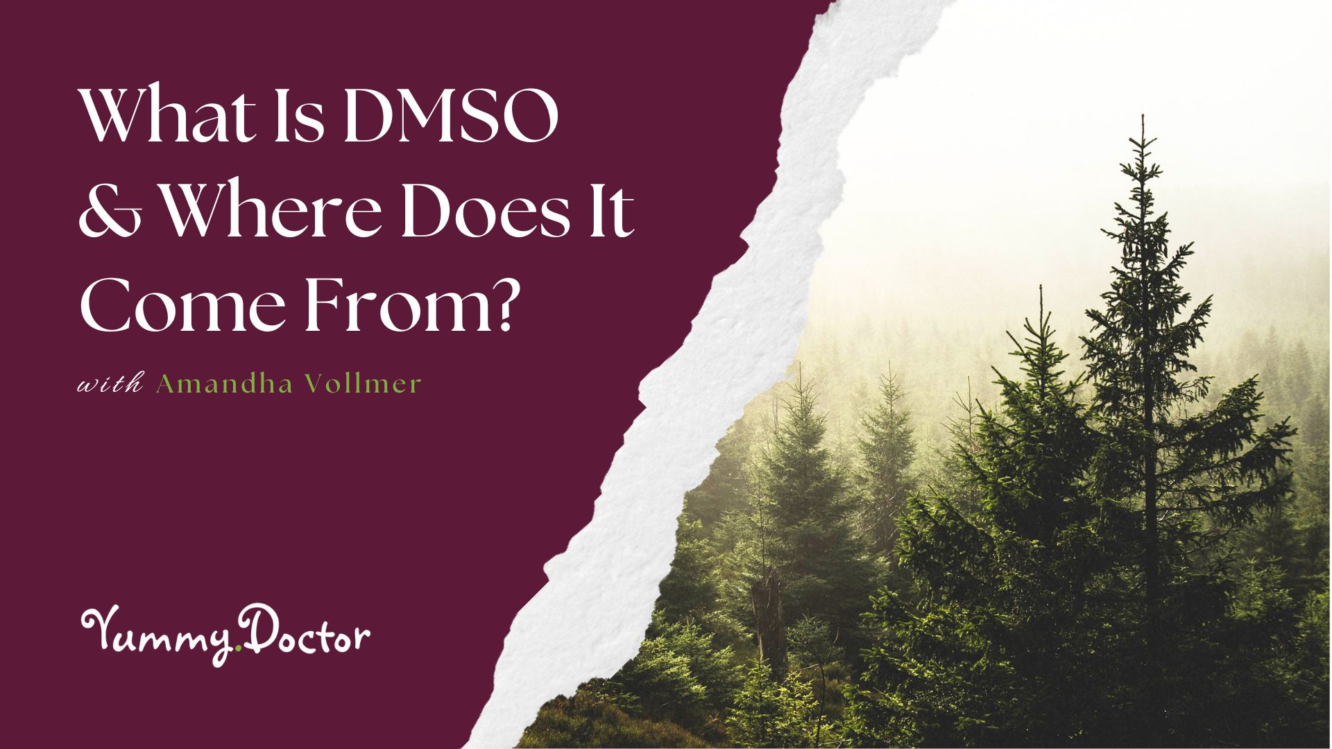 What Is DMSO and Where Does It Come From