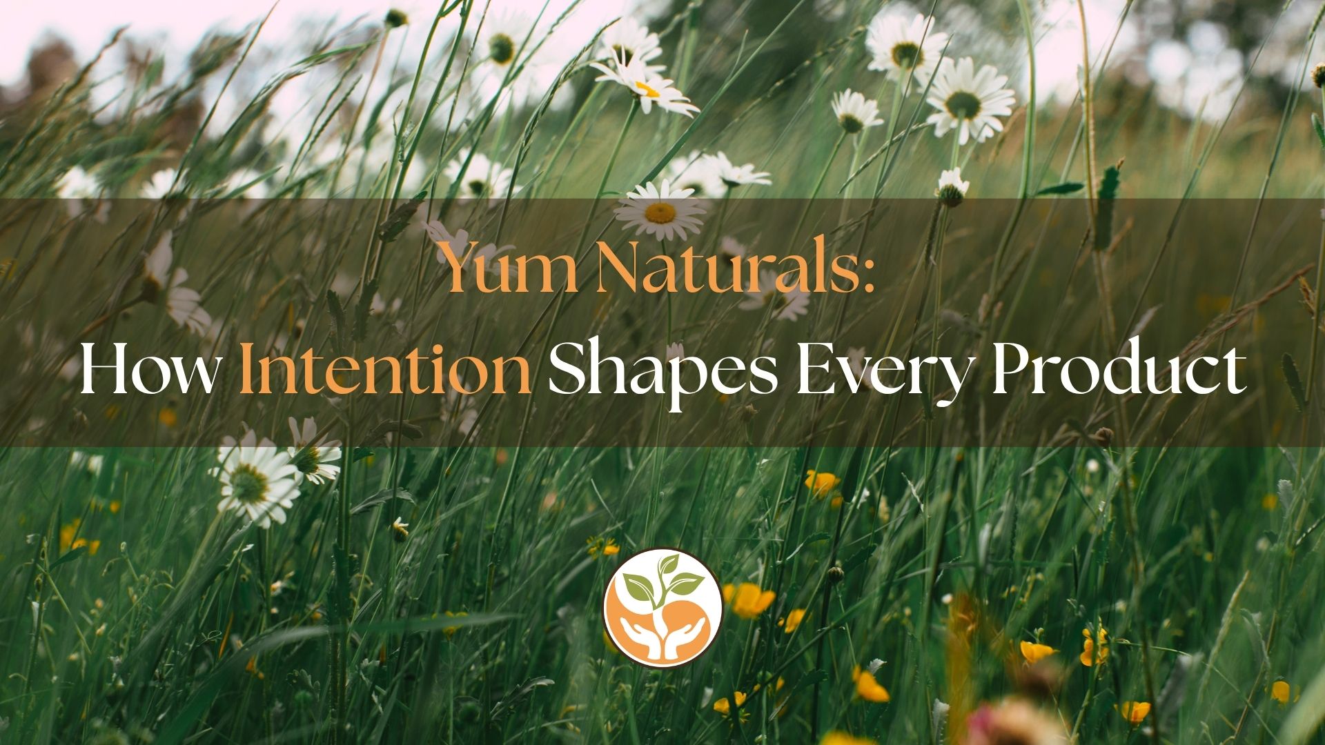 Yum Naturals How Intention Shapes Every Product