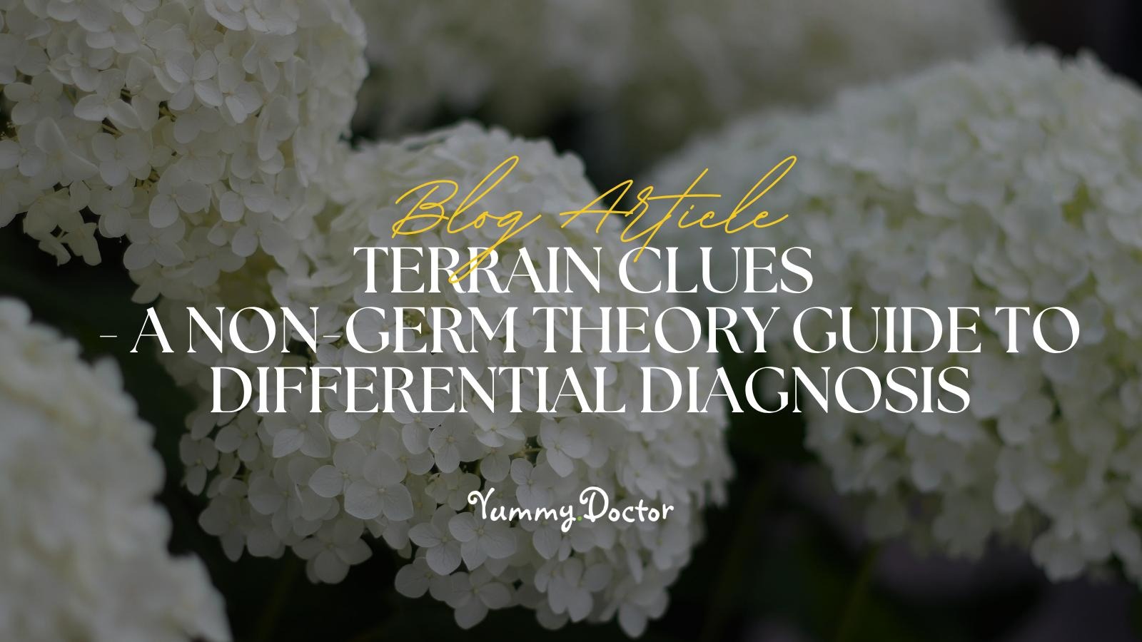 Yummy Doctor Holistic Health Education - Blog - Terrain Clues - A Non-Germ Theory Guide to Differential Diagnosis
