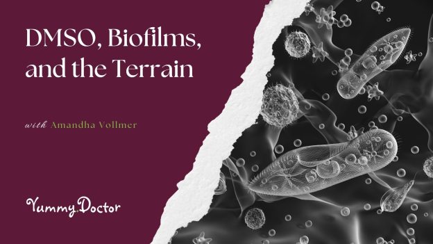 DMSO-Biofilms-and-the-Terrain