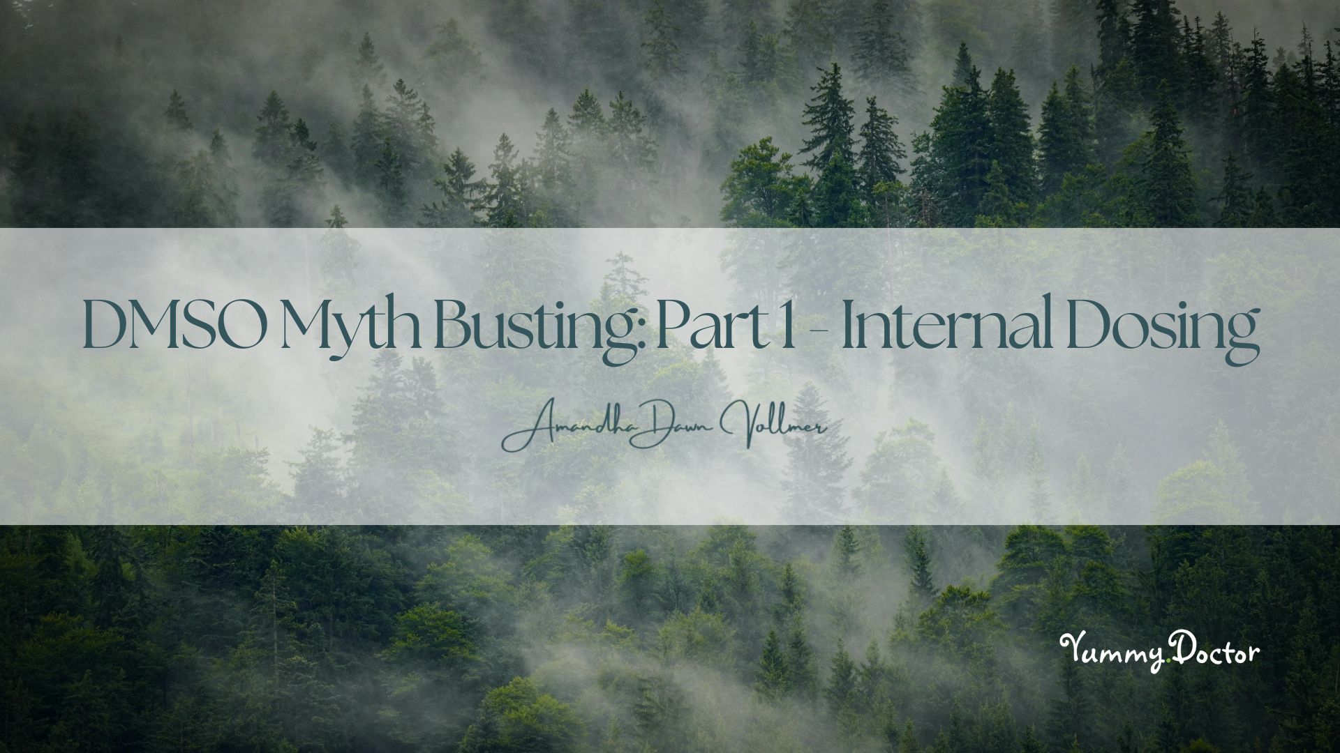 DMSO Myth Busting Series Part 1 - Internal Dosing